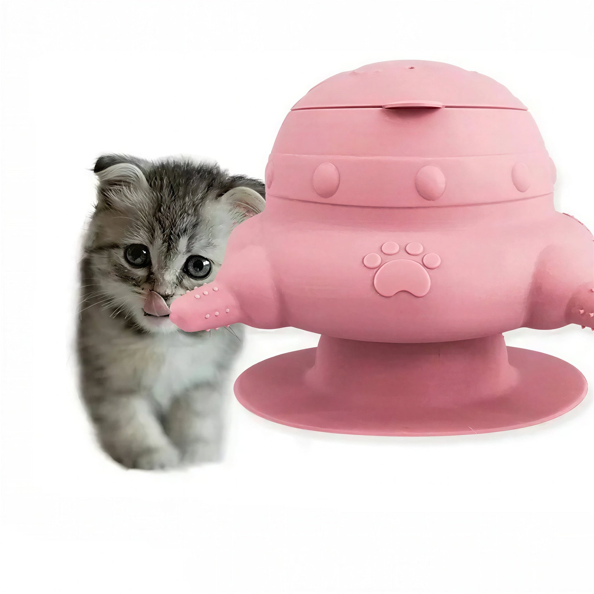 Biberon Chaton en Forme de Bol avec Quatre Tétines Pour toi Mon chat