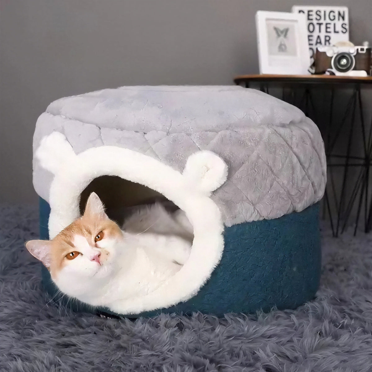 Panier Chat Coussin & Grotte – le Refuge Douillet pour Votre Félin ! Pour toi Mon chat