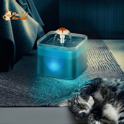 Fontaine à eau pour chats avec éclairage LED Pour toi Mon chat