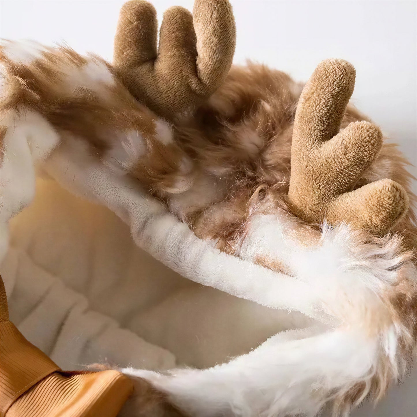 Noël Pour Chat Cape Chaude Déguisement Renne Pour toi Mon chat