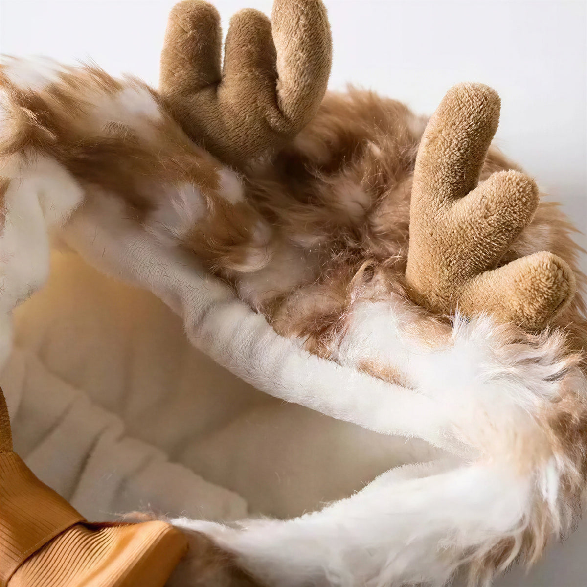 Noël Pour Chat Cape Chaude Déguisement Renne Pour toi Mon chat