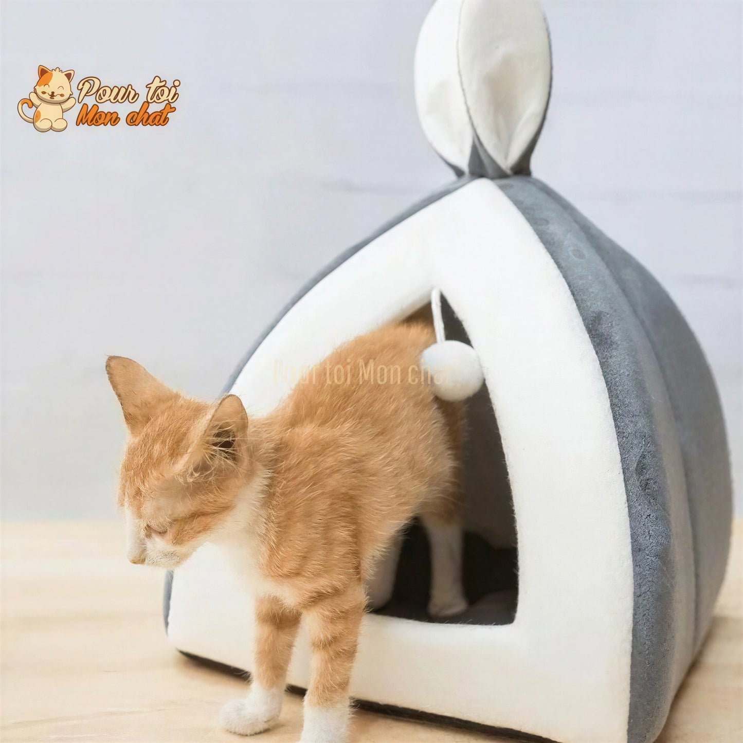 NICHE ORIGINALE À OREILLES DE LAPIN POUR CHAT – Oreill’Chat™ Pour toi Mon chat