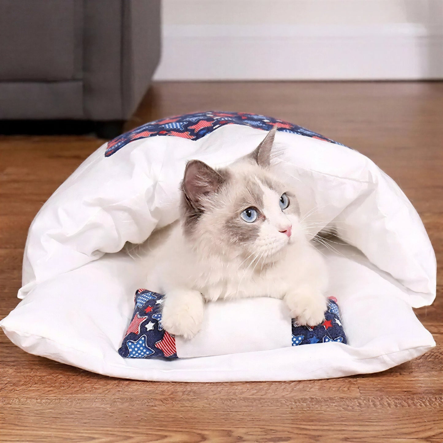 Lit Pour Chat Façon Sac De Couchage Avec Un Petit Oreiller Pour toi Mon chat