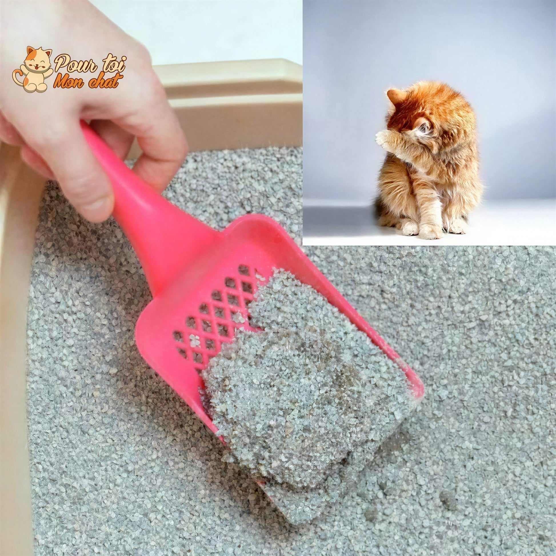 Désodorisant Révolutionn'air pour Litière - SentSiBon™ Pour toi Mon chat