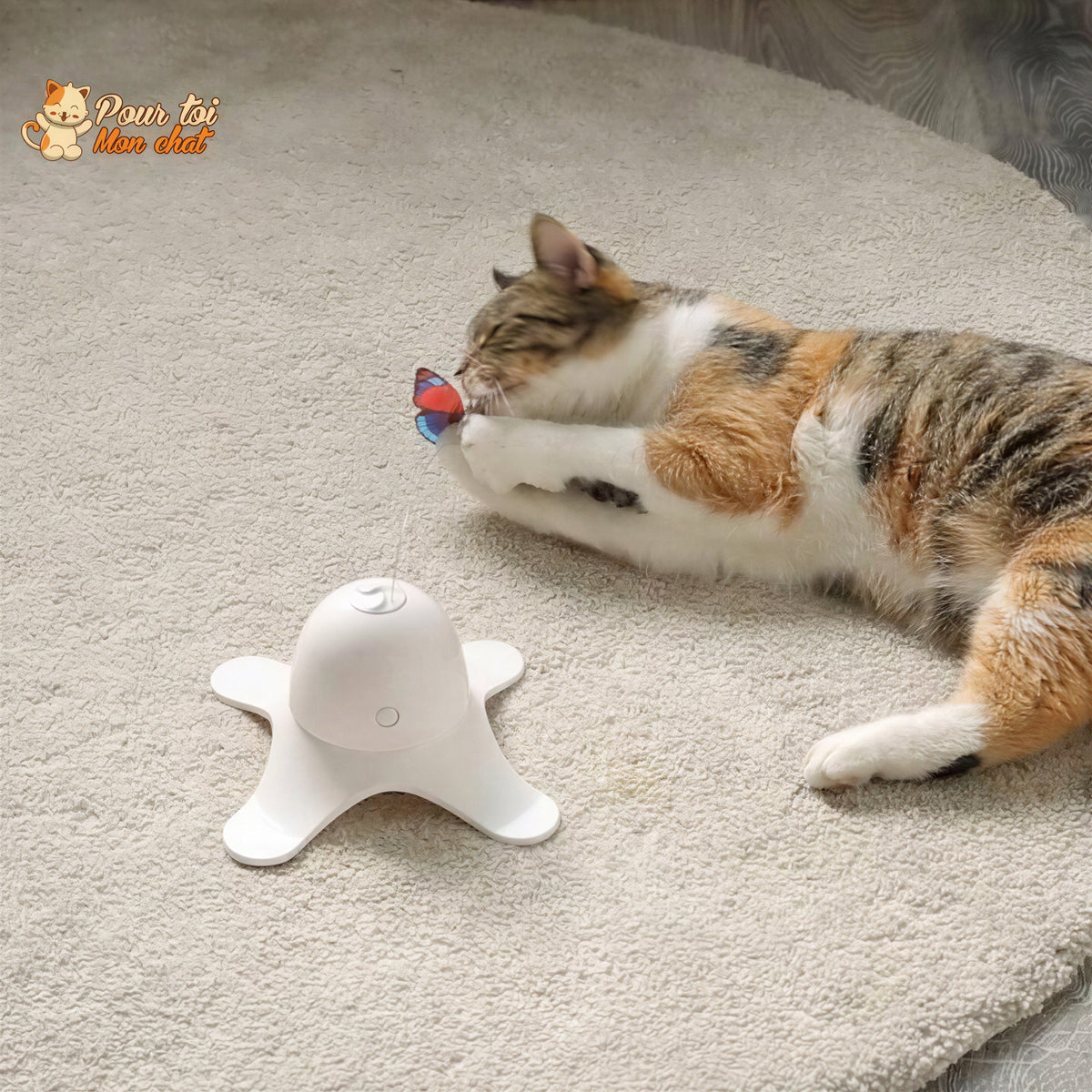 Jouet Papillon Volant pour Chat - Attrap'Papillon™ Pour toi Mon chat