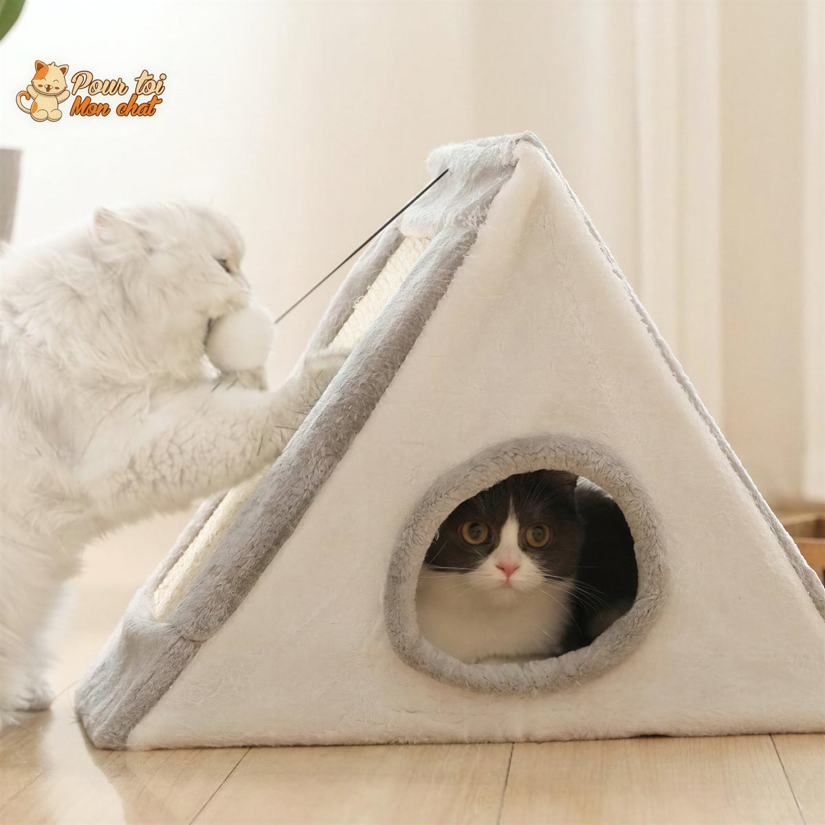 Niche pour Chat avec Grattoir - Crazybed™ Pour toi Mon chat