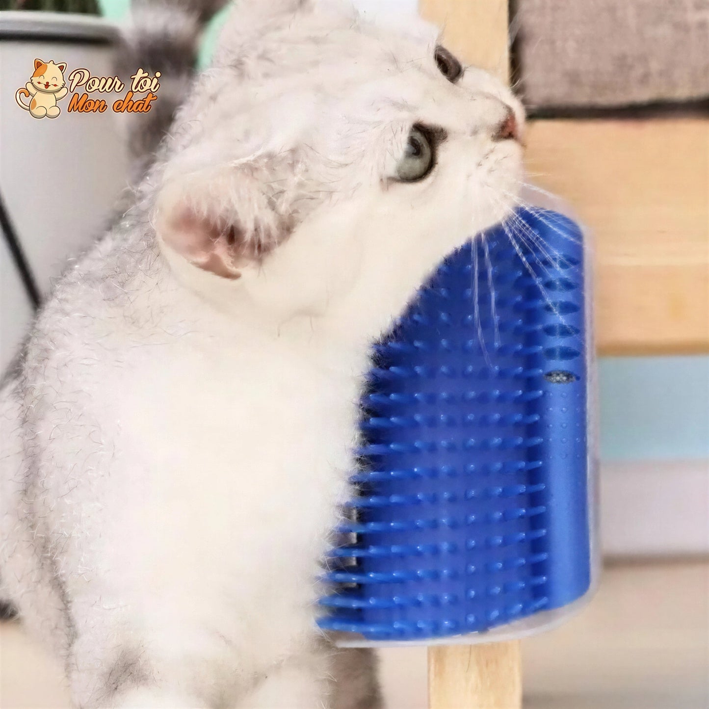 Brosse d’angle, auto-massage pour chats Pour toi Mon chat