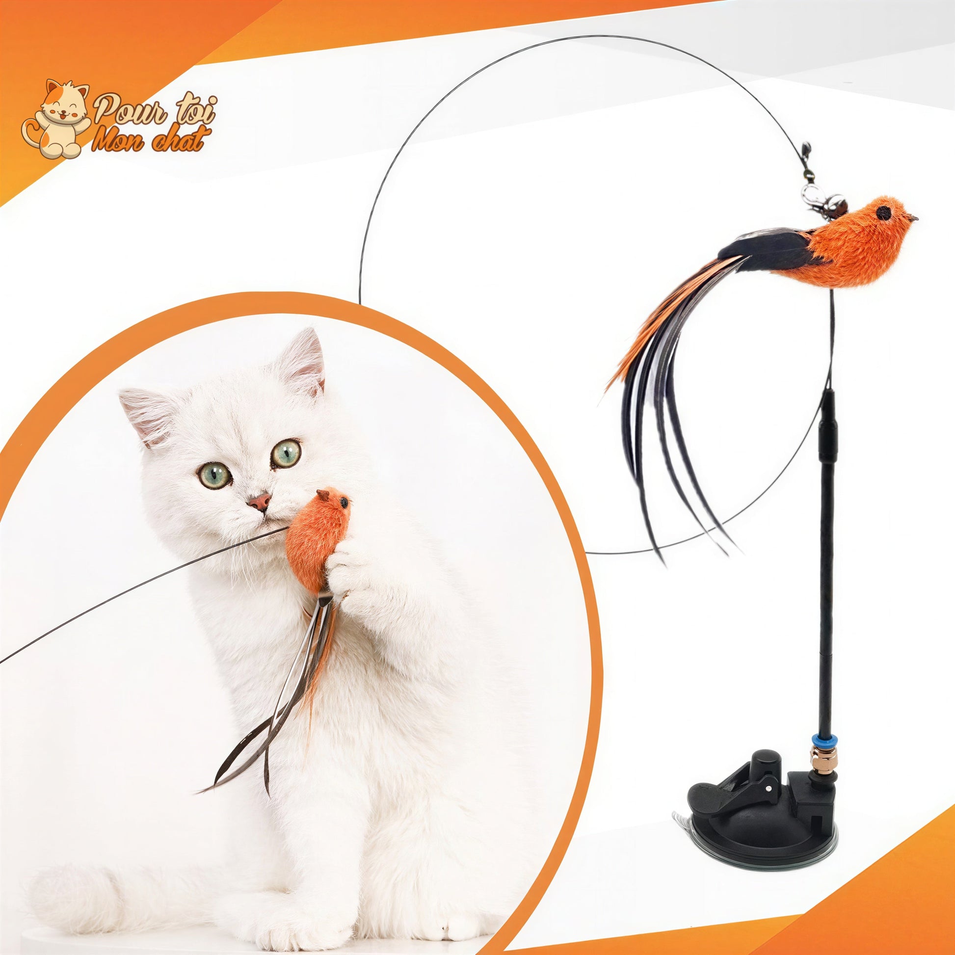 Jouet pour Chat Interactif à Ventouse - Simulation d’Oiseau et Plumes Amovibles Pour toi Mon chat