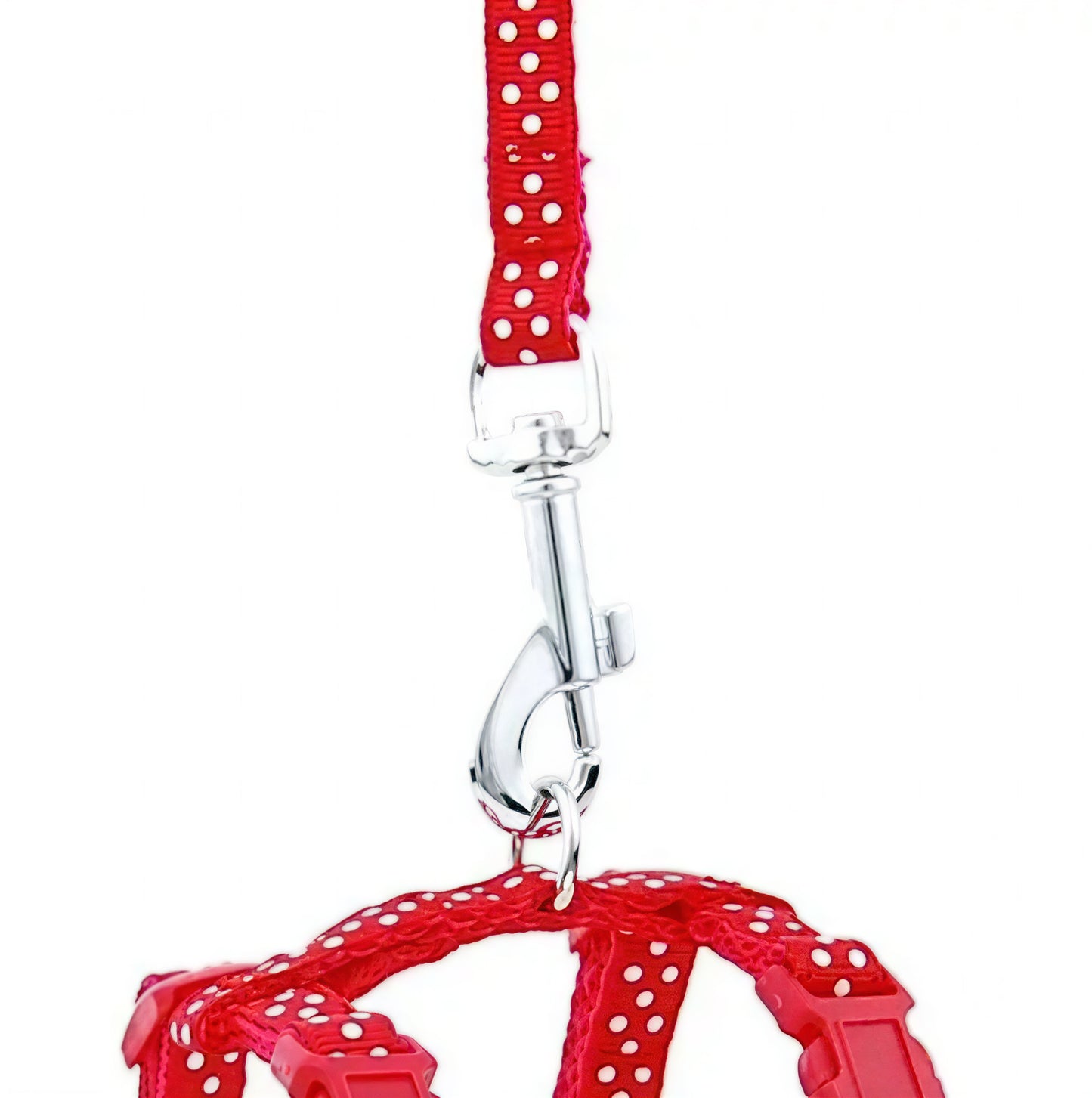 Laisse pour Chaton Réglable avec Point en Nylon - vue 4