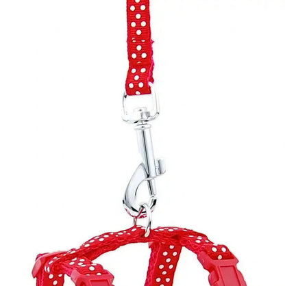 Laisse pour Chaton Réglable avec Point en Nylon - vue 4