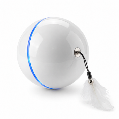 Balle Interactive pour Chat - RollChat™ Pour toi Mon chat