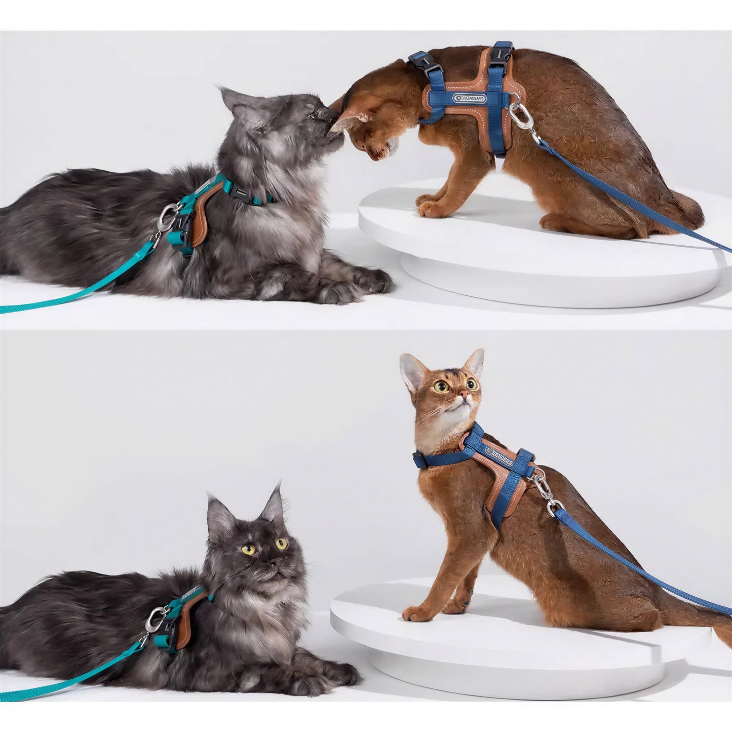 Harnais Chat Anti Fugue Léger et Réglable en Nylon et Cuir Pour toi Mon chat
