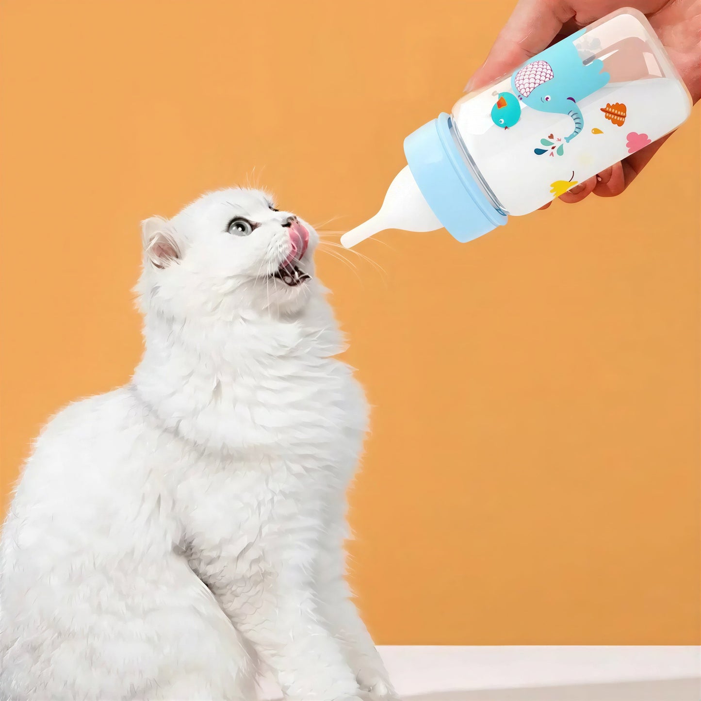 Biberon Chaton avec Motifs d'Animaux et Gradué Pour toi Mon chat