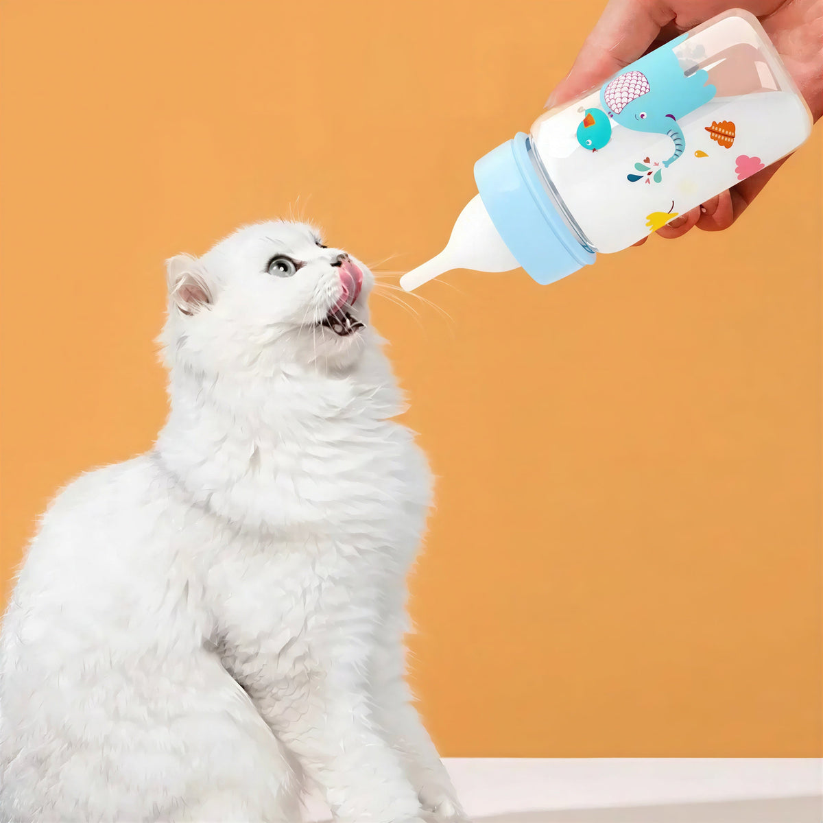 Biberon Chaton avec Motifs d'Animaux et Gradué Pour toi Mon chat