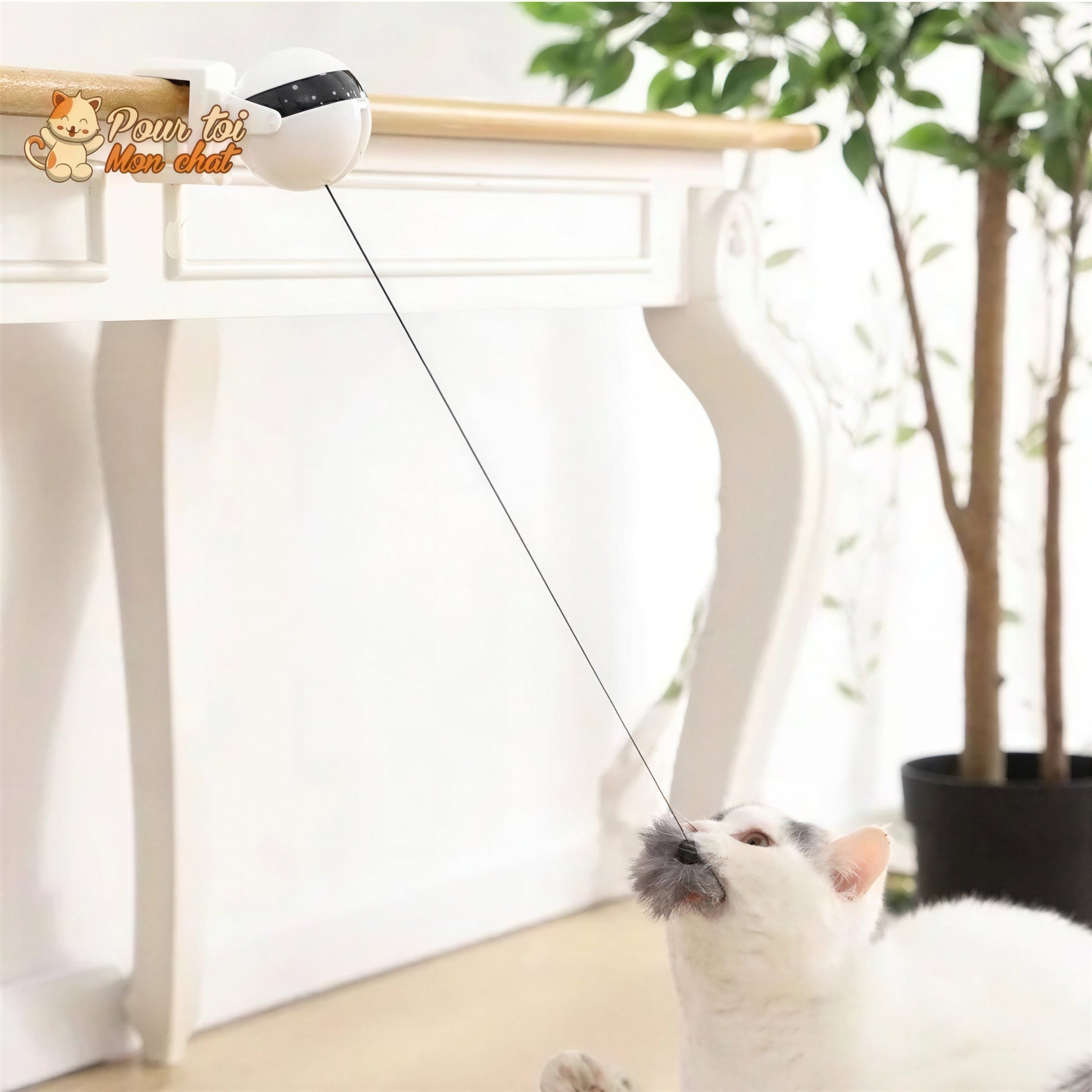 Balle Interactive pour chat - Attrap'Ball™ Pour toi Mon chat