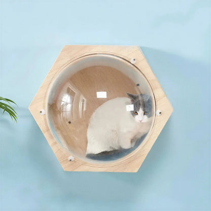 Parcours Mural Chat avec Bulle Transparente Pour toi Mon chat