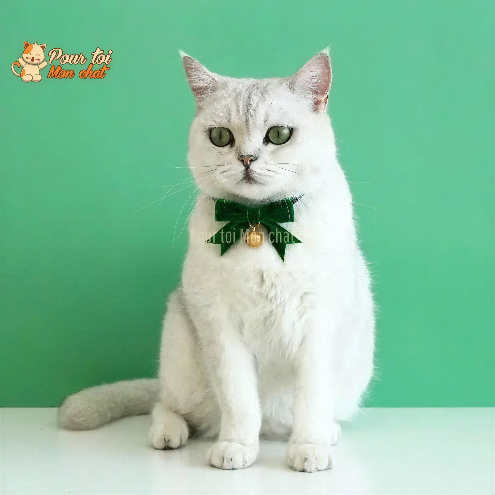 Noël - Nœud papillon de Noël - Pour Chat et Chien – Chat’nœud’Pap’™ Pour toi Mon chat