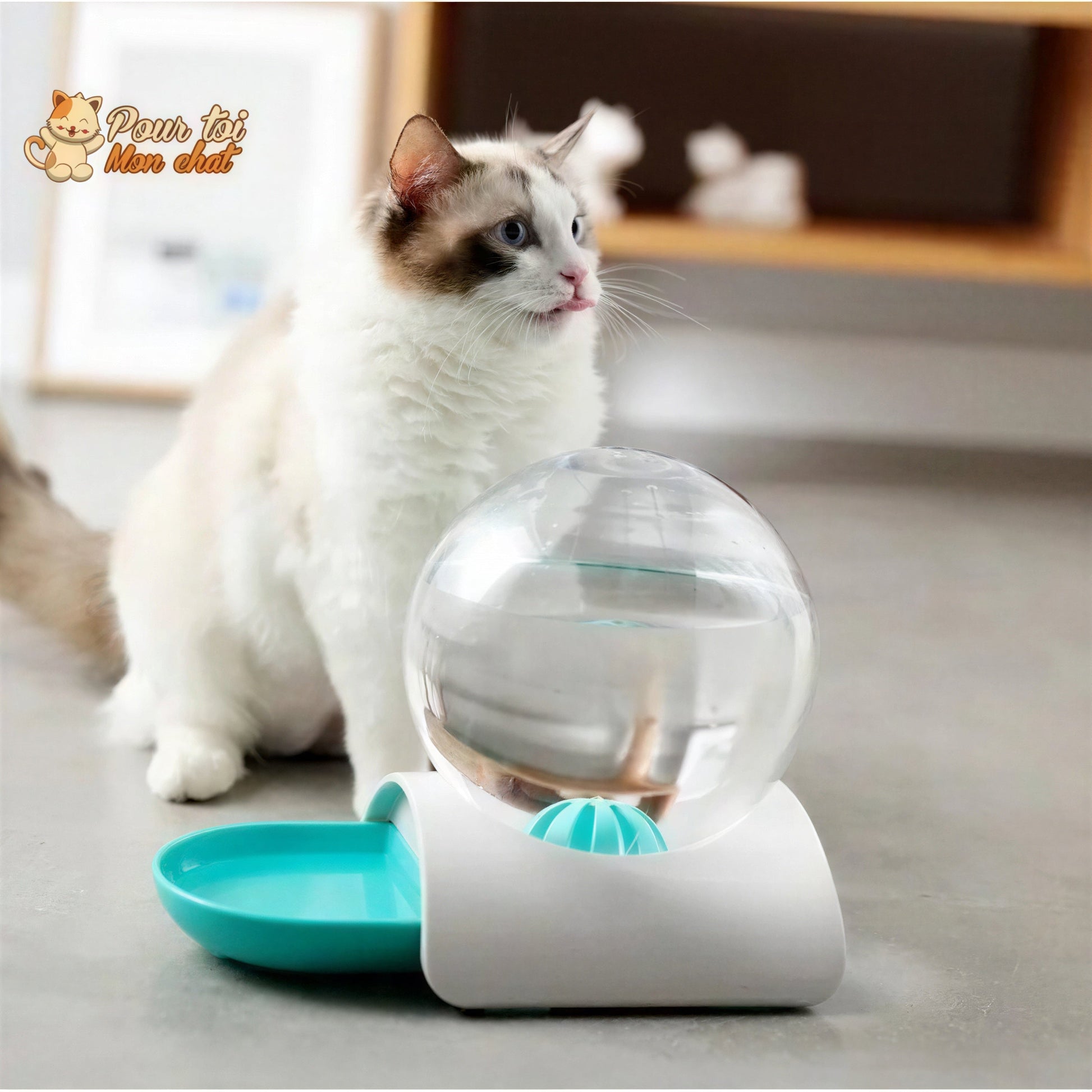 Fontaine à eau pour chat - Perfect Sphère Pour toi Mon chat