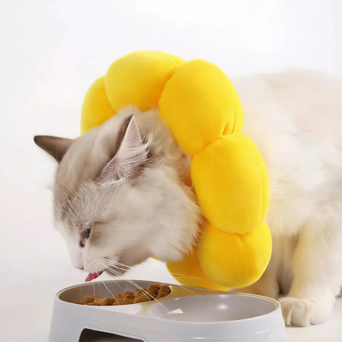 Collerette pour Chat en Forme de Fleur Pour toi Mon chat