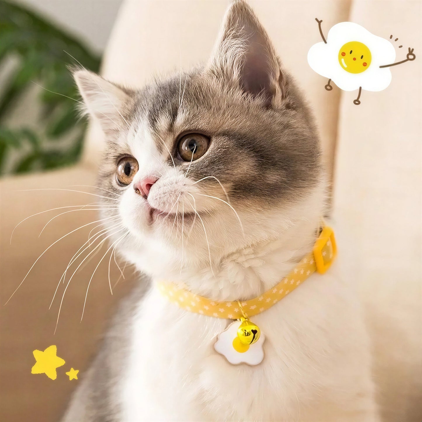 Collier réglable avec clochette pour chaton Pour toi Mon chat