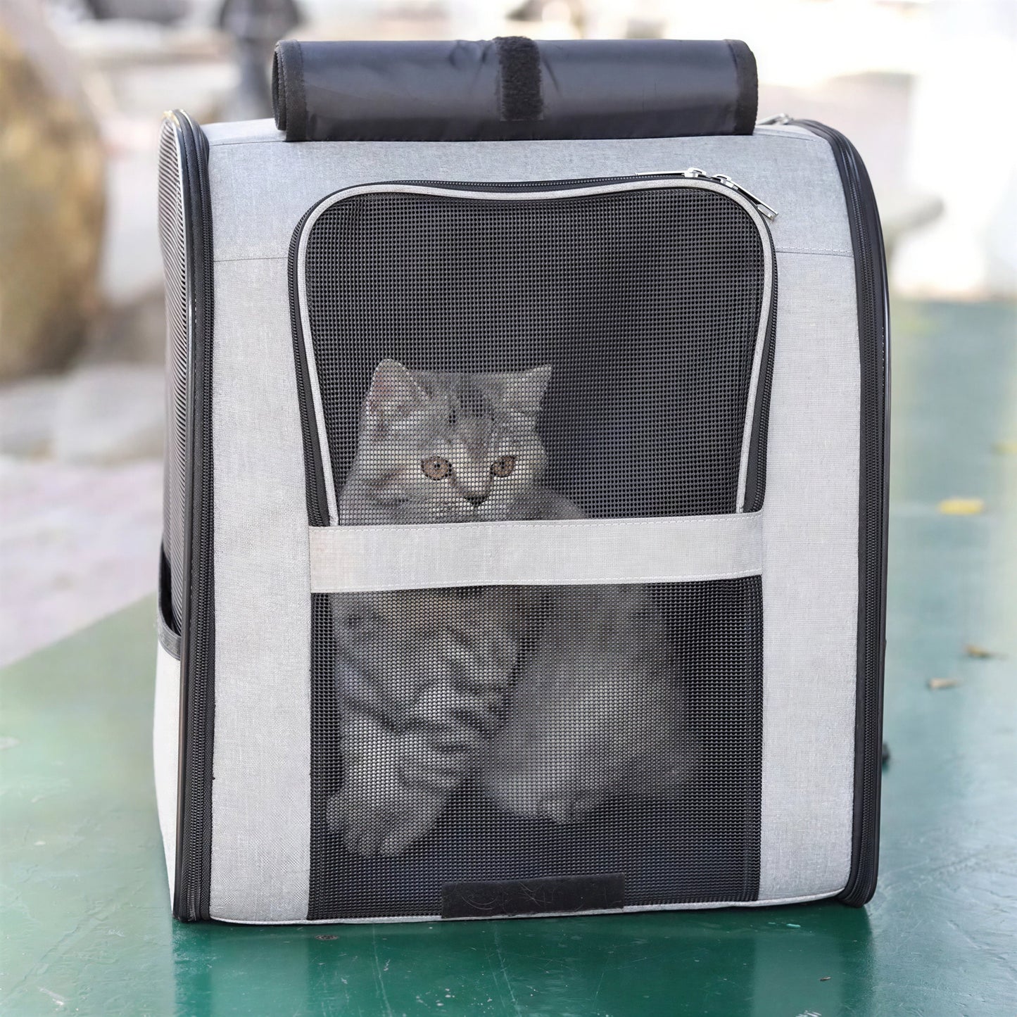 Sac de transport à bandoulière pour chat Pour toi Mon chat