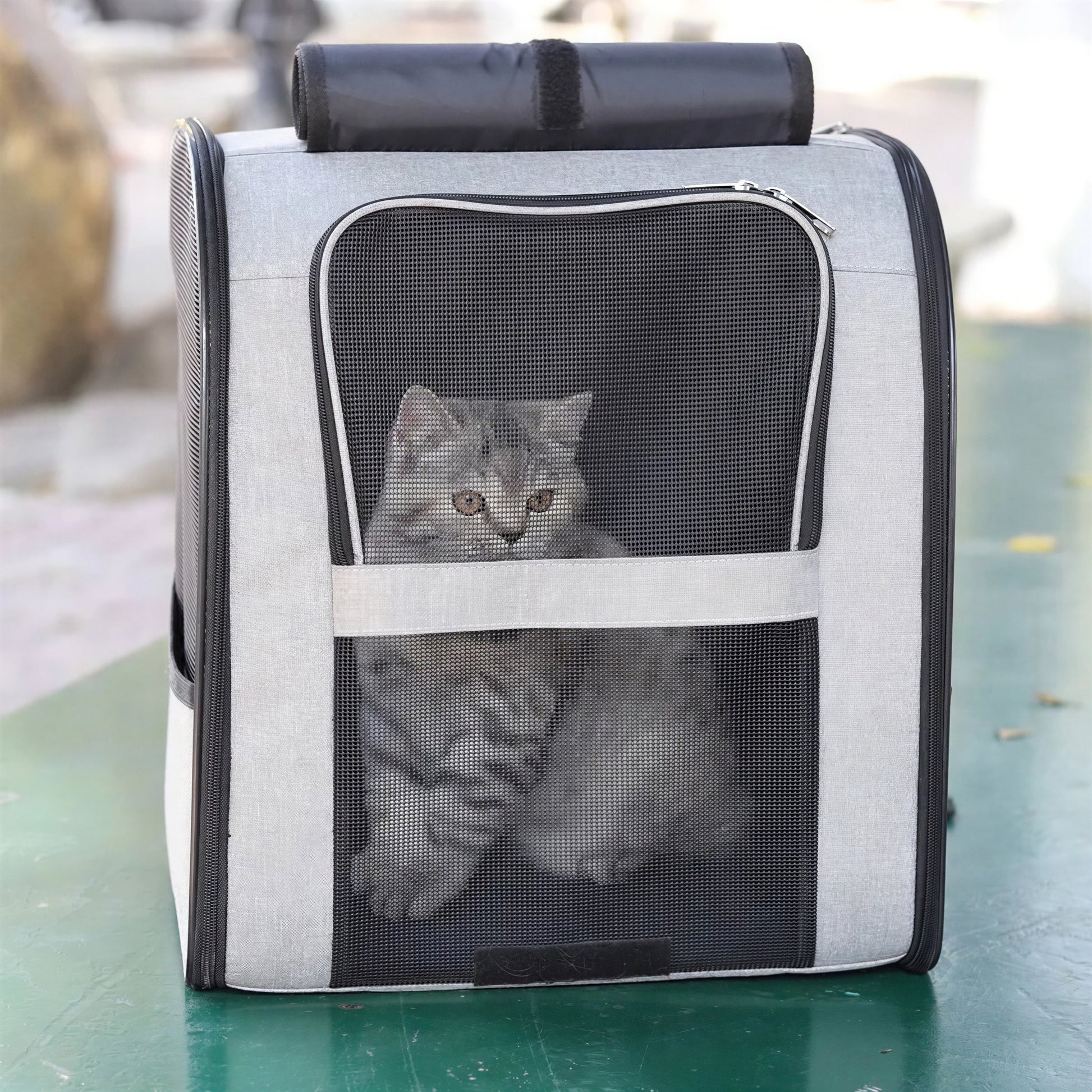 Sac de transport à bandoulière pour chat Pour toi Mon chat