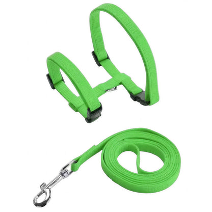 Collier en nylon réglable pour chat Pour toi Mon chat