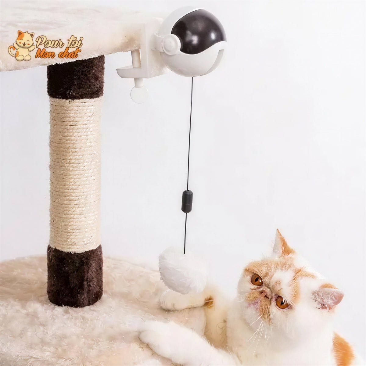 Balle Interactive pour chat - Attrap'Ball™ Pour toi Mon chat