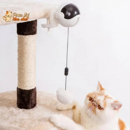Balle Interactive pour chat - Attrap'Ball™ Pour toi Mon chat