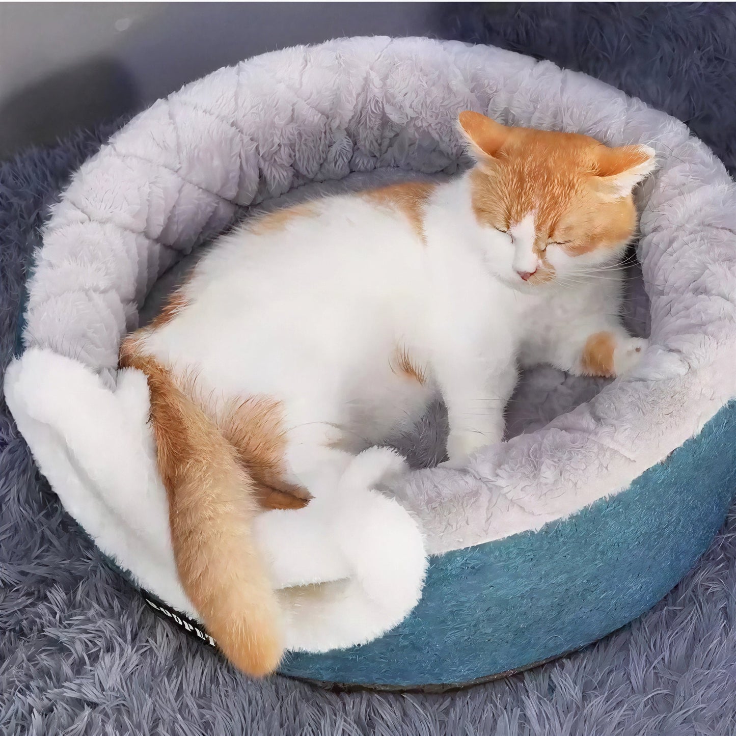 Panier Chat Coussin & Grotte – le Refuge Douillet pour Votre Félin ! Pour toi Mon chat