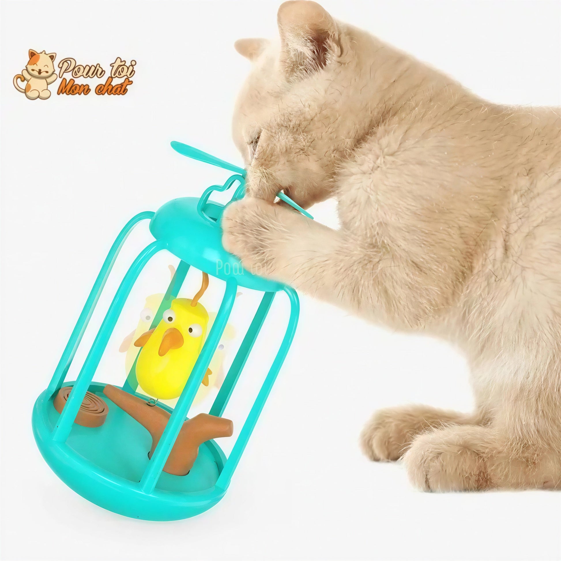 Cage à oiseau ludique pour chat - Titi&GrosMinet™ Pour toi Mon chat