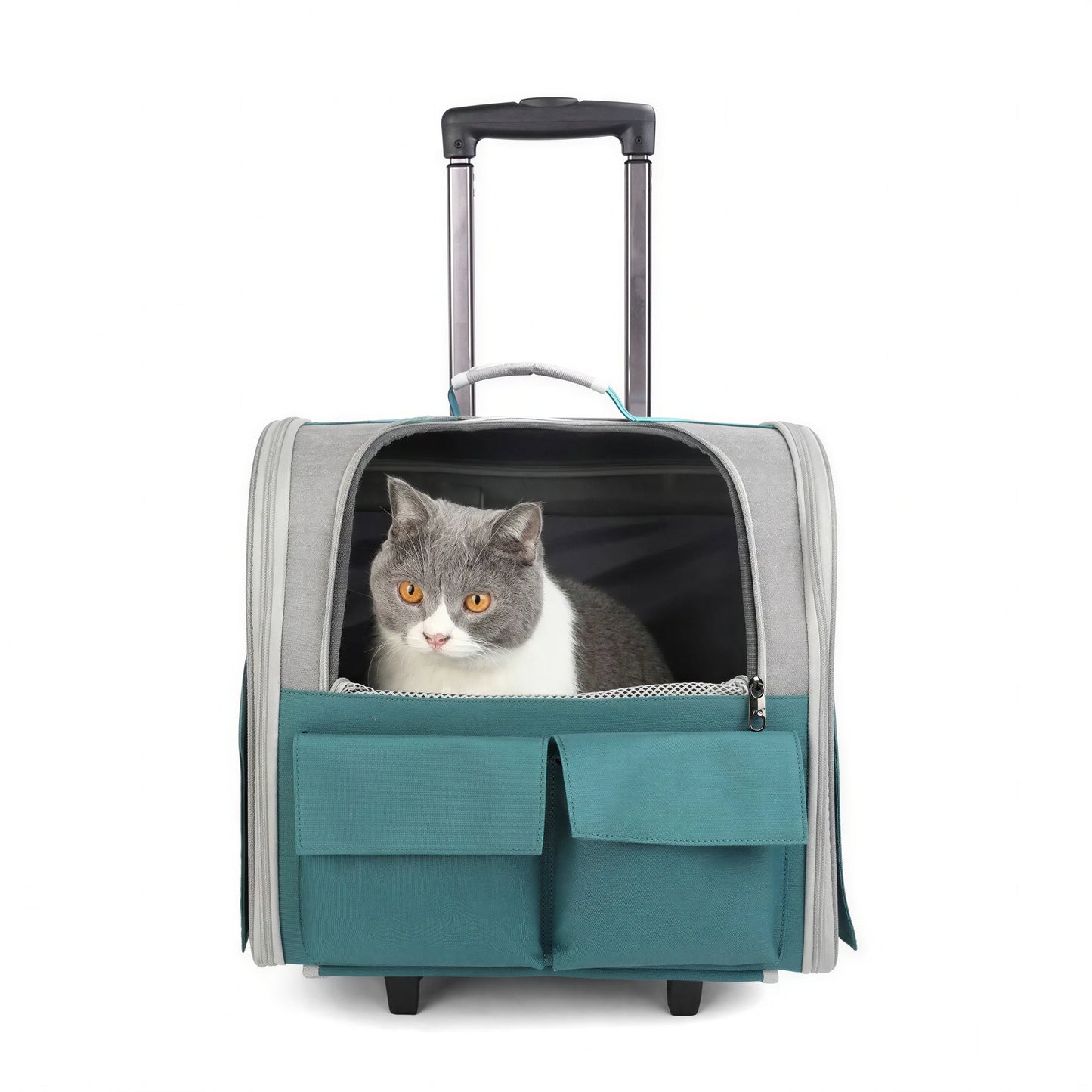 Sac de transport pliable pour chat Pour toi Mon chat