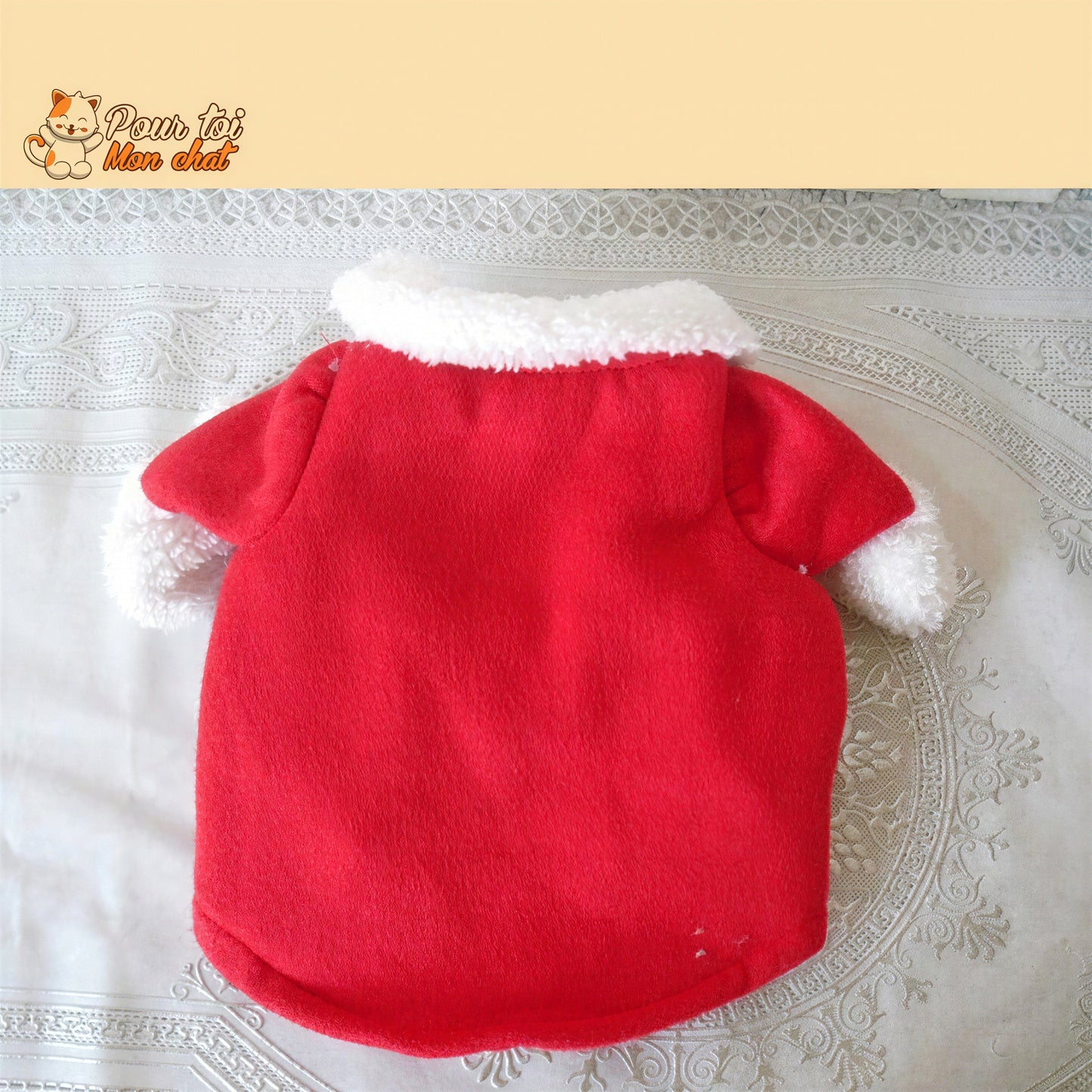 Noël - Déguisement de Père Noël pour Chat - Chat’Noël™ Pour toi Mon chat
