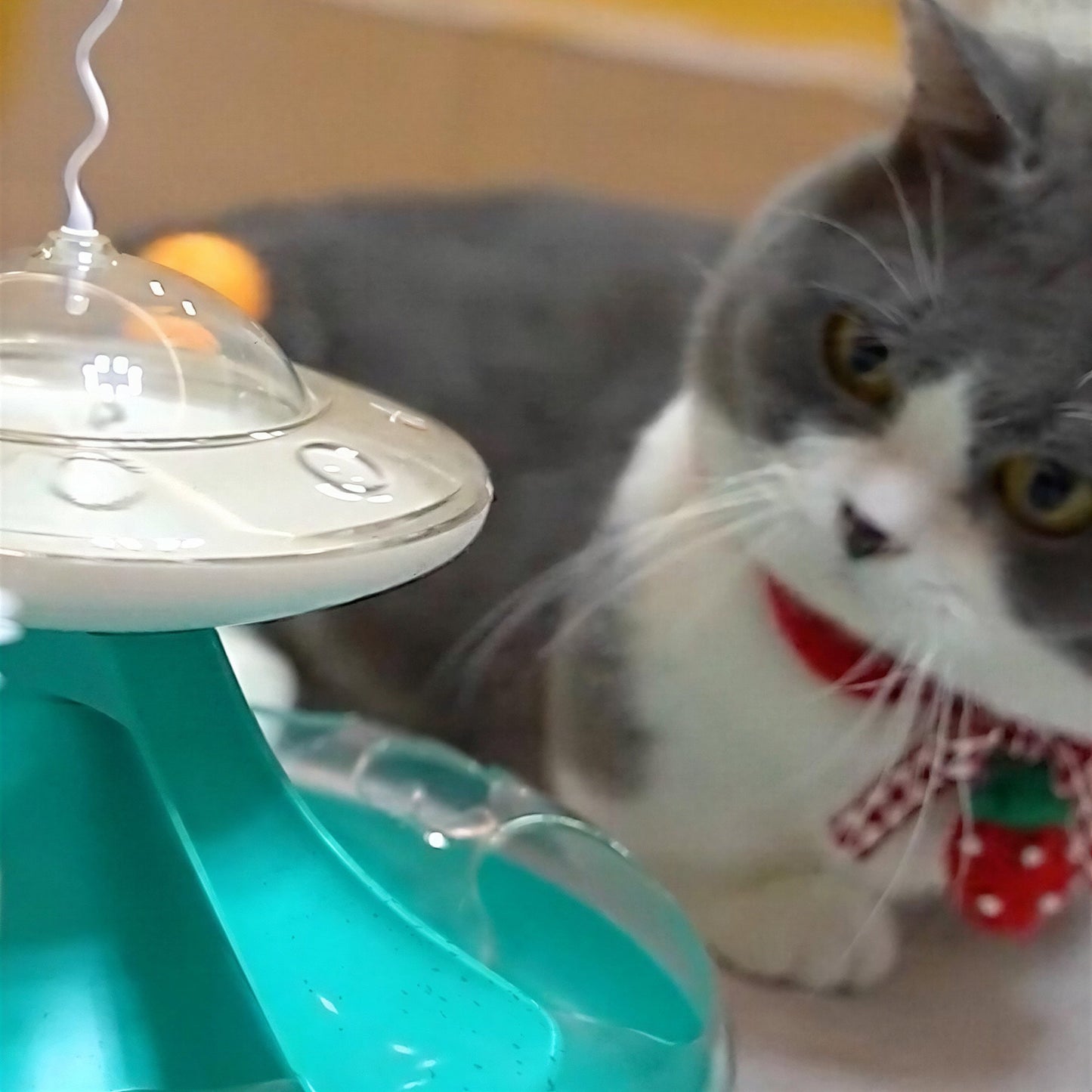 Jouet pour Chat Distributeur de Croquettes - Tournichat™ Pour toi Mon chat
