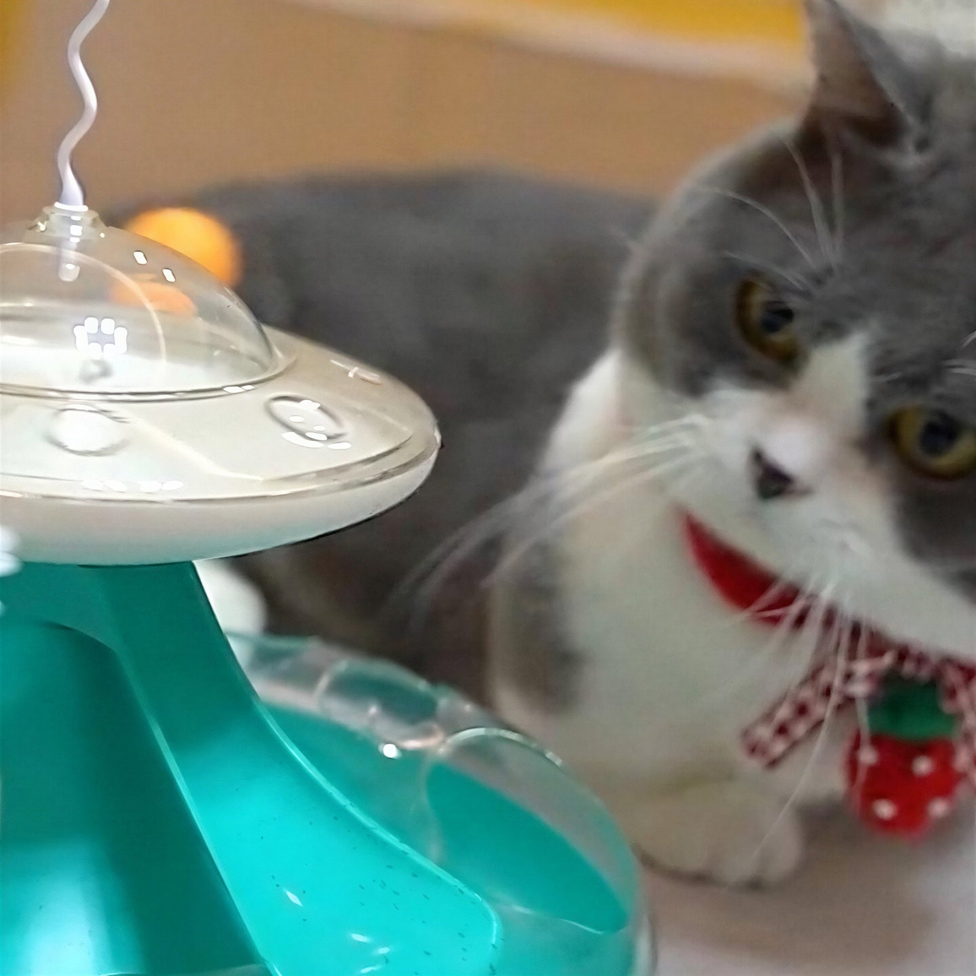 Jouet pour Chat Distributeur de Croquettes - Tournichat™ Pour toi Mon chat