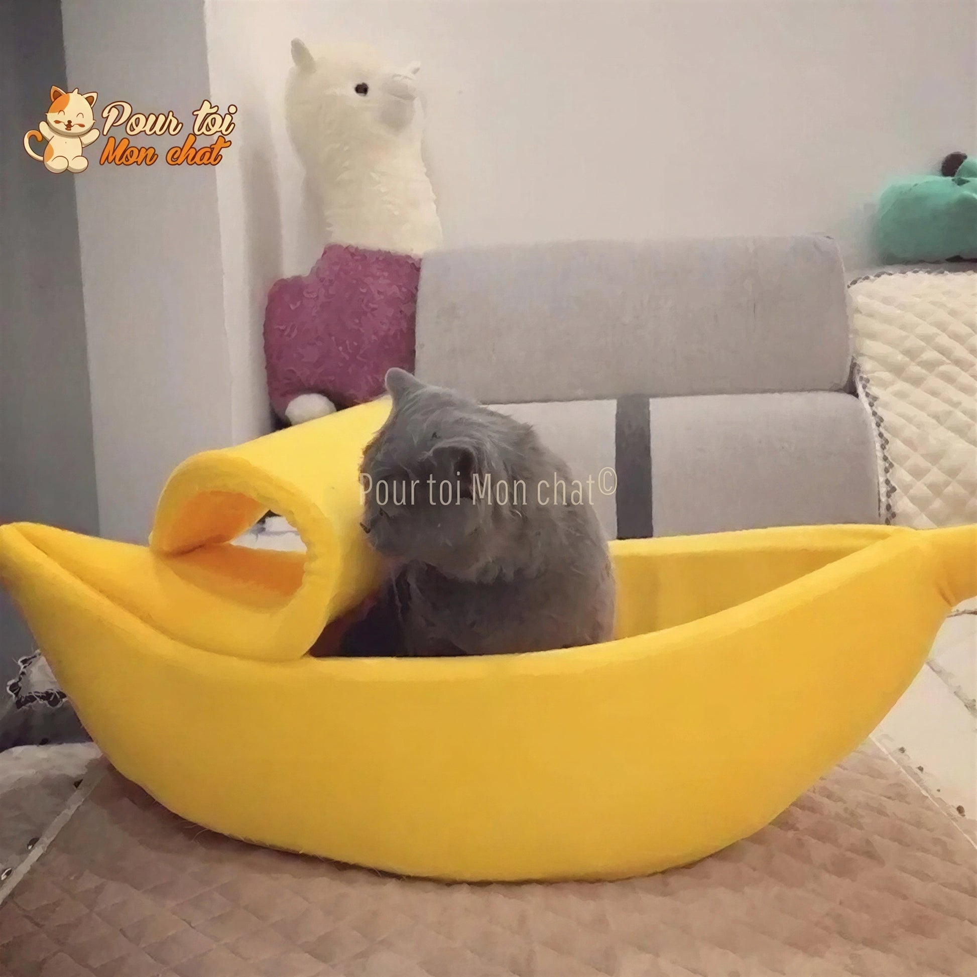 LIT BANANE POUR CHAT – Banana’Chat™ Pour toi Mon chat