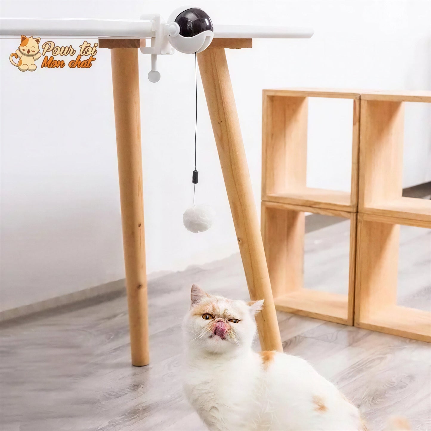 Balle Interactive pour chat - Attrap'Ball™ Pour toi Mon chat