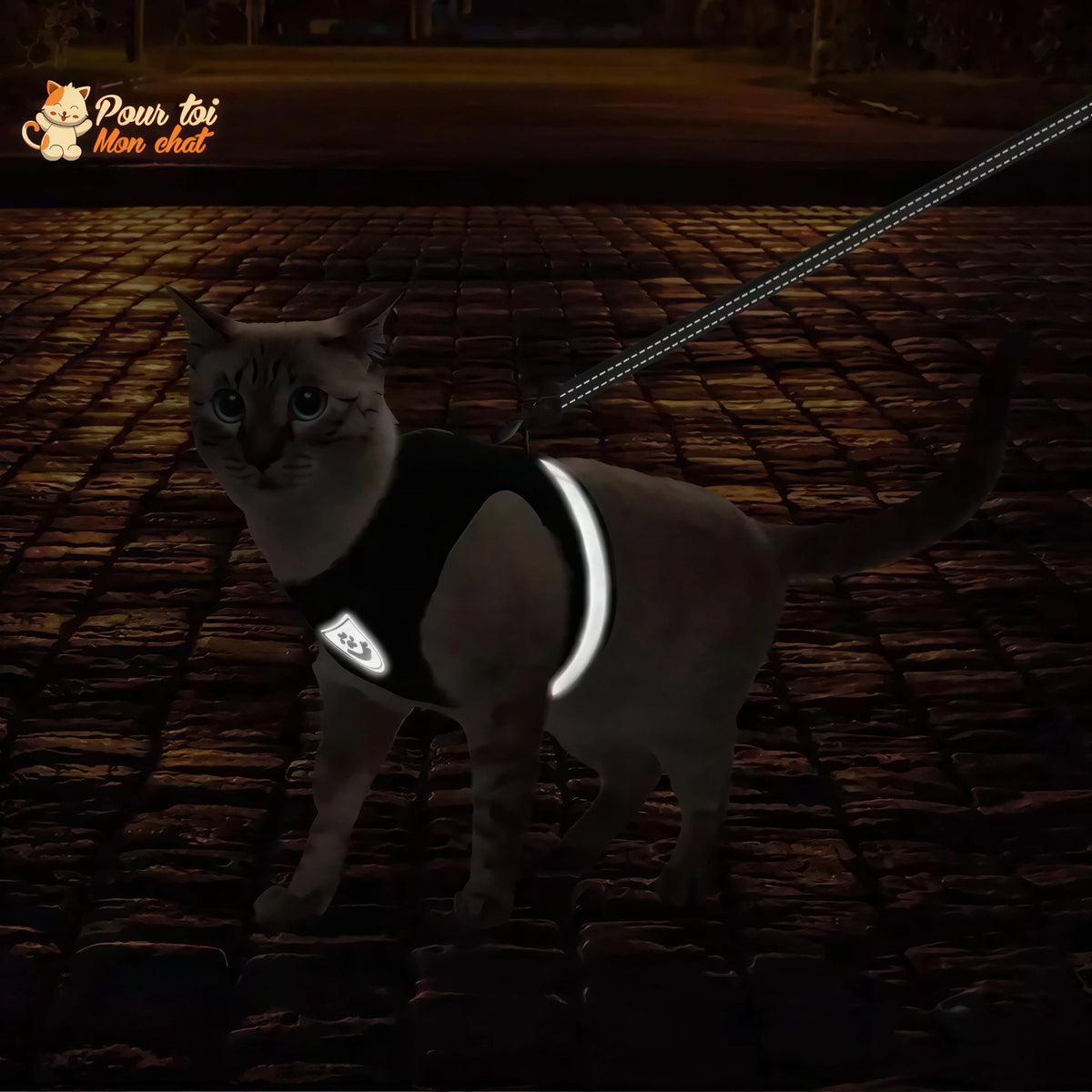 Harnais et laisse respirants pour chat Pour toi Mon chat