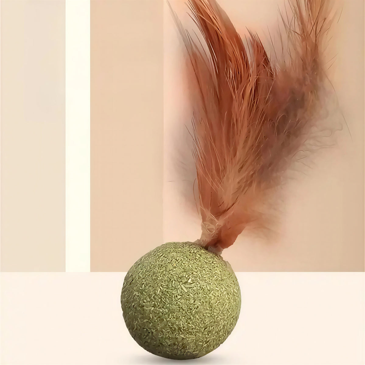 Herbe à Chat Ronde avec une Plume - vue 3