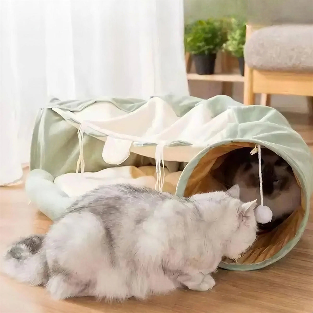 Jouet pour Chat Lit Tunnel Pliable Pour toi Mon chat