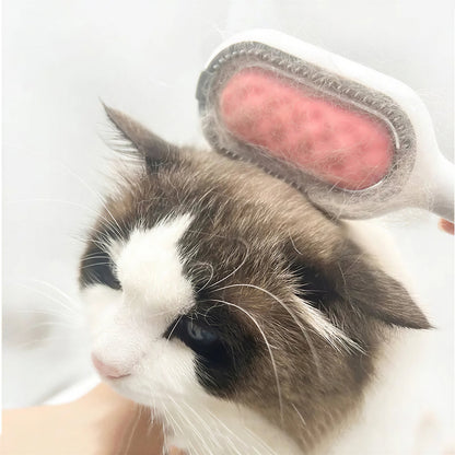 Brosse à poils en plastique avec petit réservoir d'eau et lingettes pour chat Pour toi Mon chat