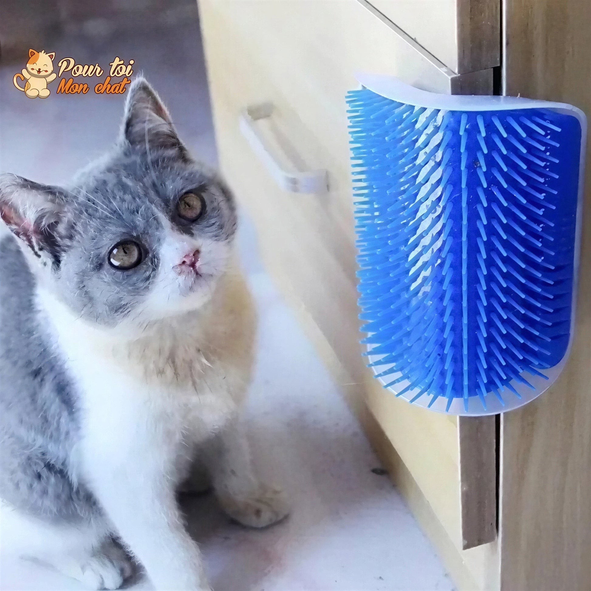 Brosse d’angle, auto-massage pour chats Pour toi Mon chat