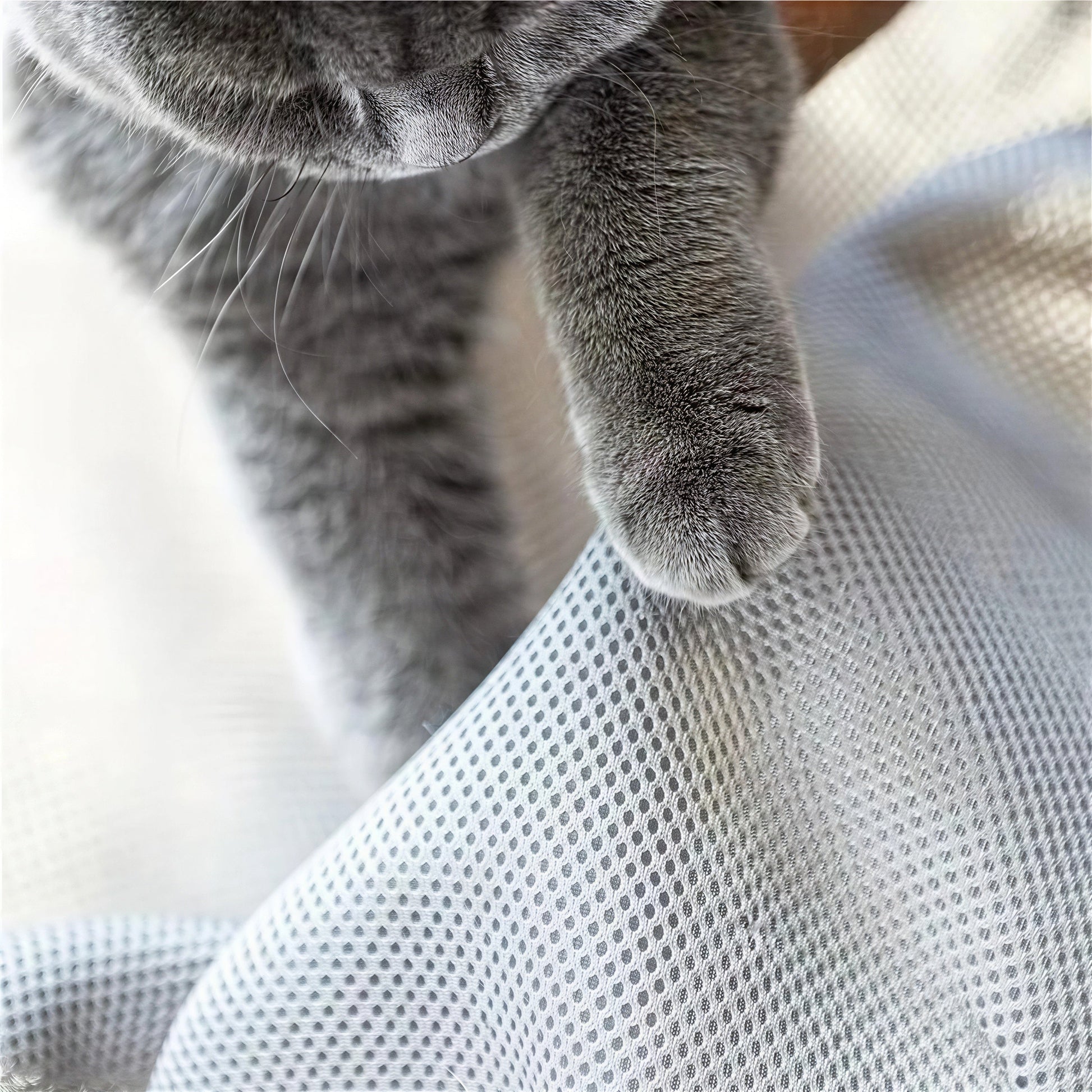 Lit pour Chat Circulaire et Perché Pour toi Mon chat