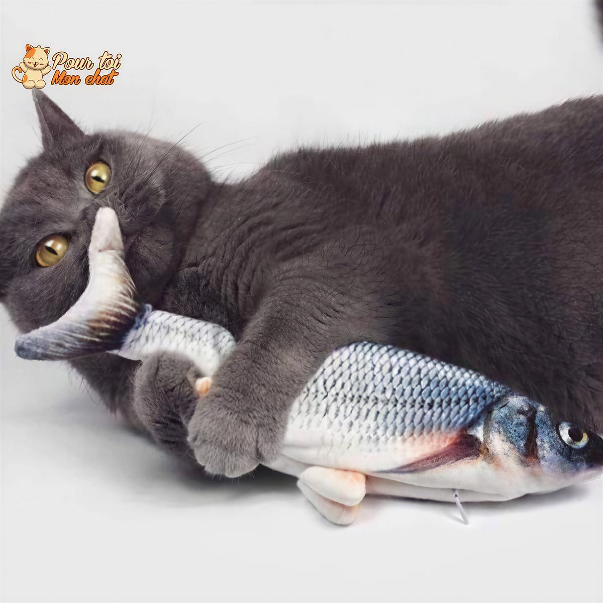 Poisson Sauteur Jouet pour Chat - Attrap'Fish™ Pour toi Mon chat