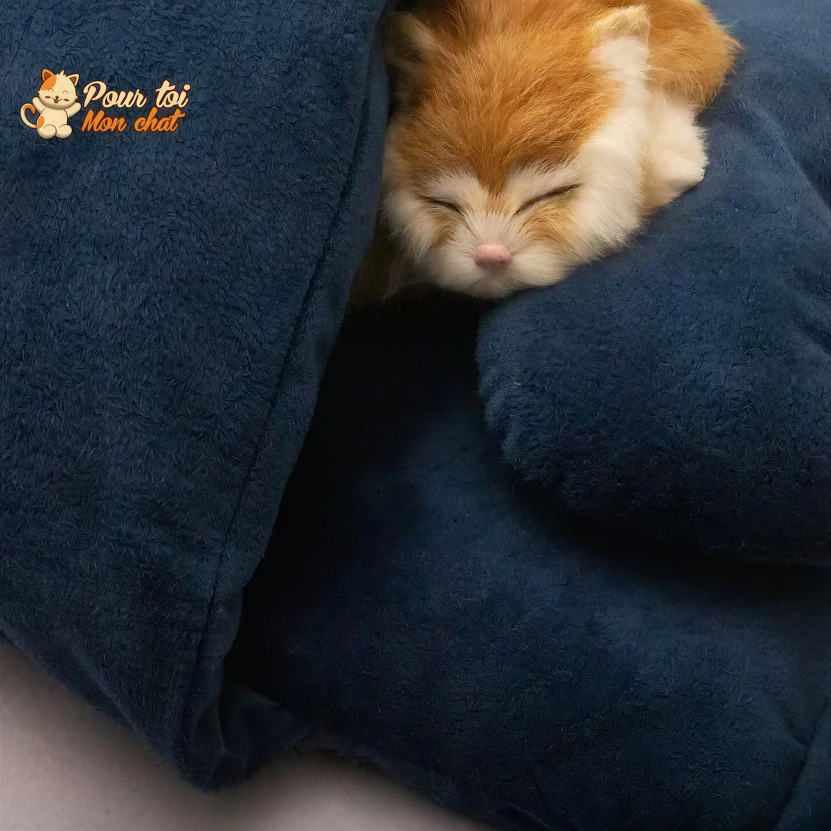 Lit de couchage tout doux - pour Chat - NITOUDOUX™ Pour toi Mon chat