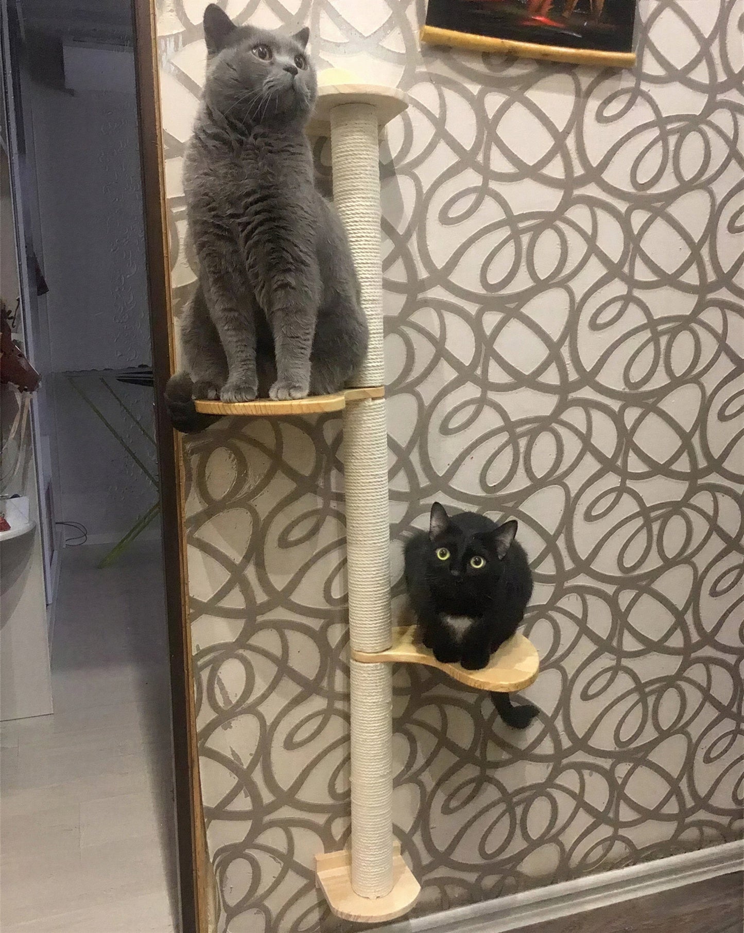 Arbre à gratter en sisal naturel pour chat Pour toi Mon chat