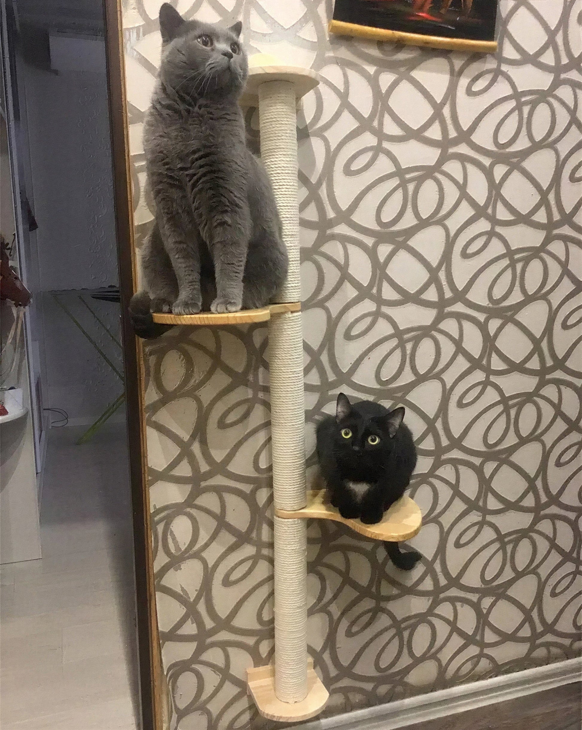Arbre à gratter en sisal naturel pour chat Pour toi Mon chat