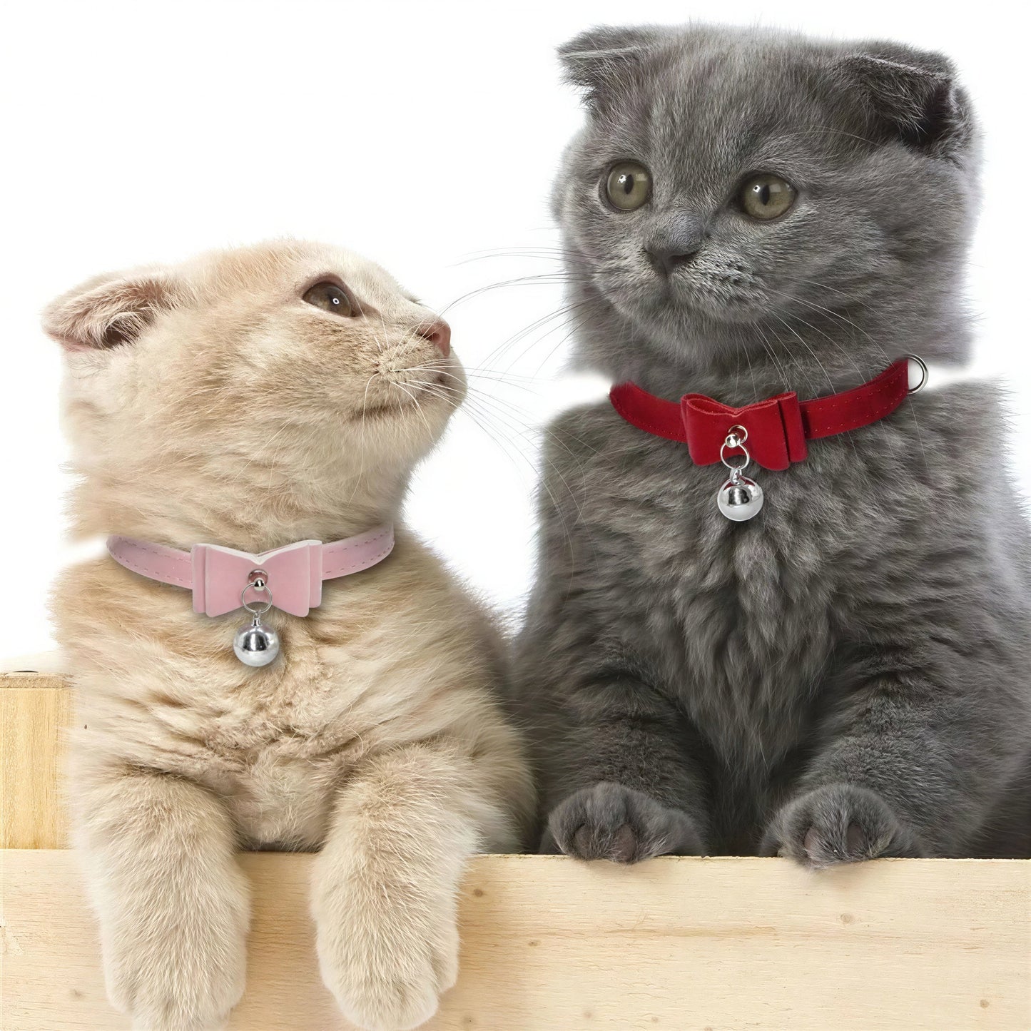 Collier en velours mignon pour chaton Pour toi Mon chat