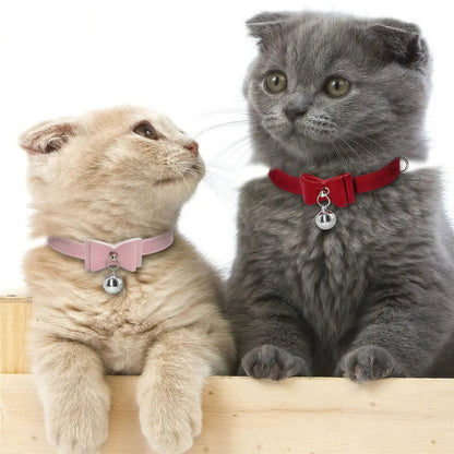 Collier en velours mignon pour chaton Pour toi Mon chat