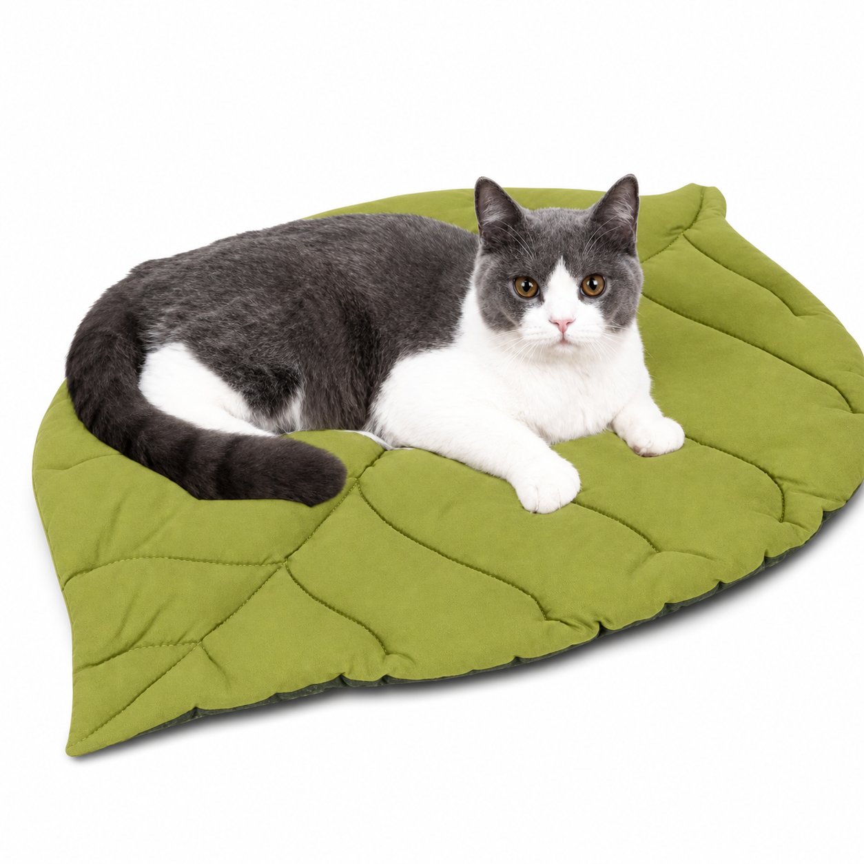 TAPIS, LIT, COUSSIN DOUX EN FORME DE FEUILLE POUR CHAT – FEUILL’À’CHAT™ Pour toi Mon chat